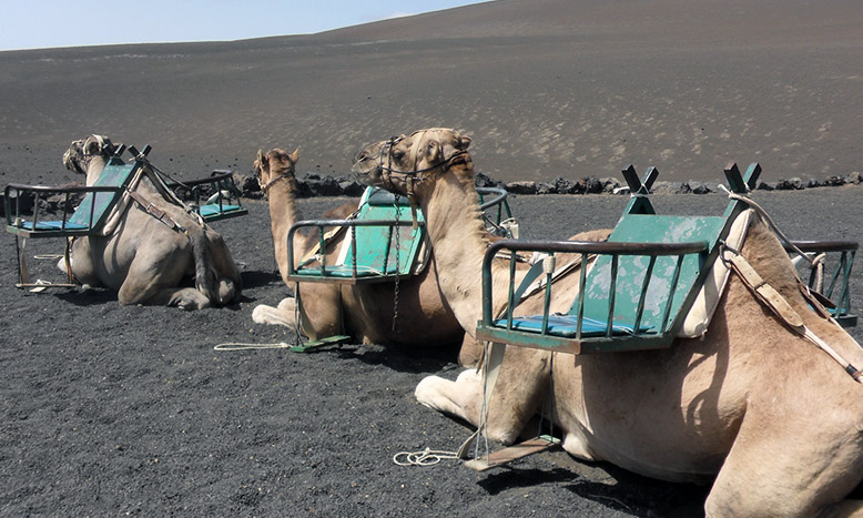 lanzarote-6